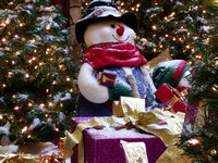 �������